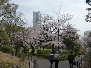 桜の間からはランドマークタワー