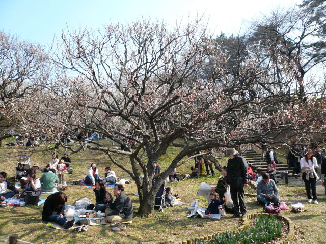 ��q�R�����̔~��