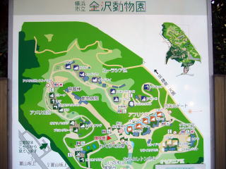 金沢動物園の案内図