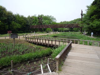 湿生植物園