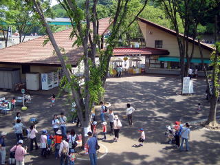 ���ʓ�����̗l�q