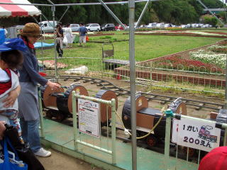 �P��Q�O�O�~�ł�