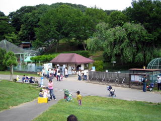 ���ǂ�������