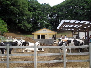 �����̌����ł����肵�܂�