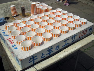 �|�łł����w���ł����܂�