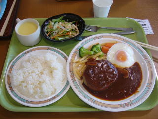 �n���o�[�O��H