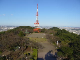 展望塔から見た公園やテレビ塔の様子