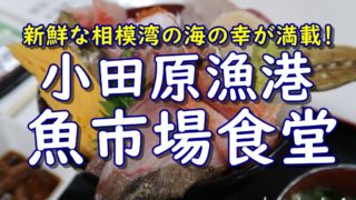 小田原漁港の「魚市場食堂」