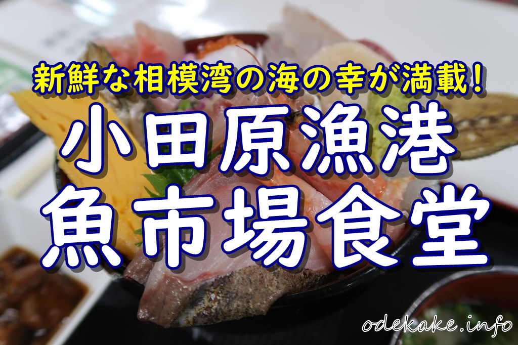 小田原漁港の「魚市場食堂」