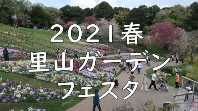 里山ガーデンフェスタ21春 をレポート 横浜市内最大の大花壇は必見です おでかけインフォ