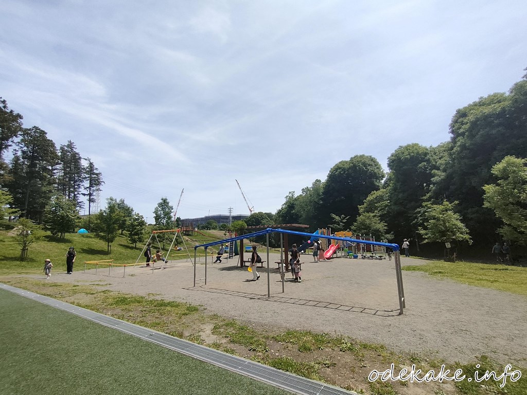 芹沢公園の遊具