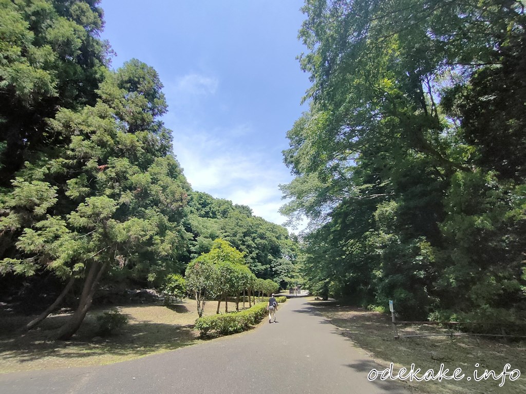 芹沢公園の散策路